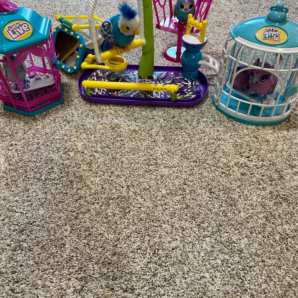 little live pets birds lot